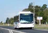 Shepp Transit Express